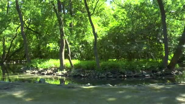 Bocht van de rivier stroomt in het bos — Stockvideo