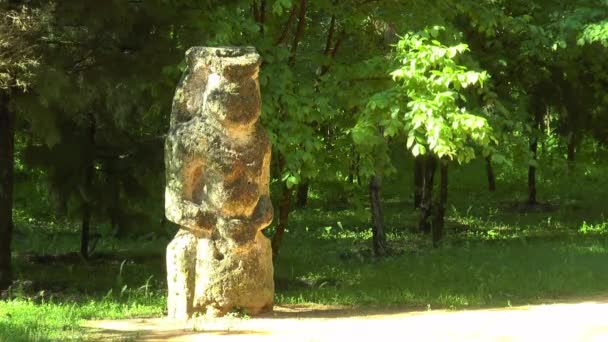 Γυναίκες Σκυθικές άγαλμα στο δάσος — Αρχείο Βίντεο