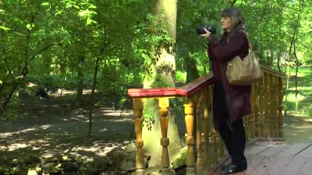 Een vrouw is permanent met een camera in het bos — Stockvideo