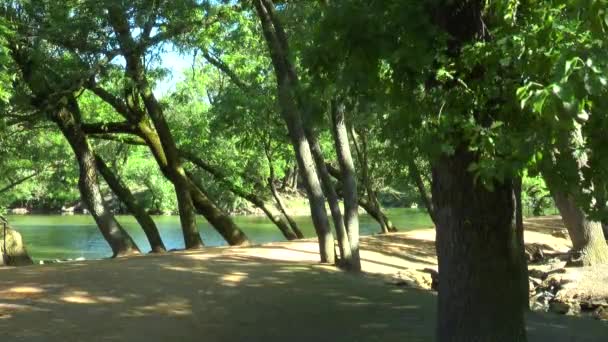 A estrada arenosa entre árvores . — Vídeo de Stock