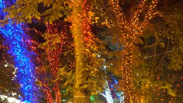 Bäume mit dekorativen Girlanden geschmückt — Stockvideo