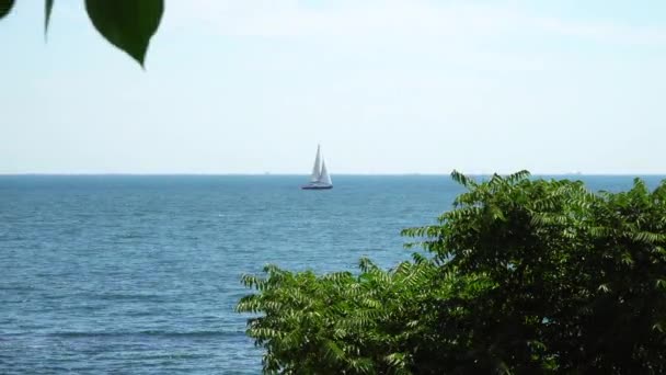 Die unter Segel stehende Yacht schwimmt im Meer. Blick vom Ufer aus — Stockvideo