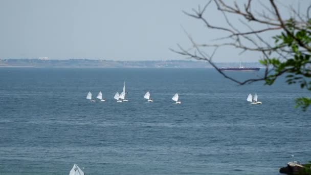 Zatokę morza. Możemy zobaczyć łodzie żaglowe na horyzoncie zarys miasta — Wideo stockowe