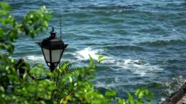 Deniz kıyısında. Deniz görünümü ağaçlar, dalgakıran ve lamba