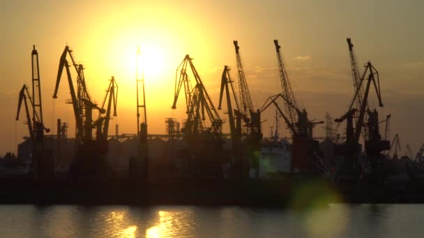 Zonsondergang op een achtergrond van kranen in de zeehaven — Stockvideo