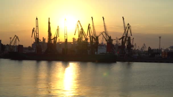 Západ slunce v přístavu. — Stock video