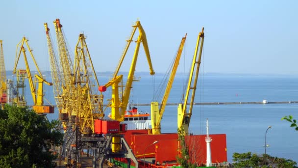 Odessa, Oekraïne - 26 juni 2016: Kranen in de haven worden geladen op een schip metalen rollen — Stockvideo