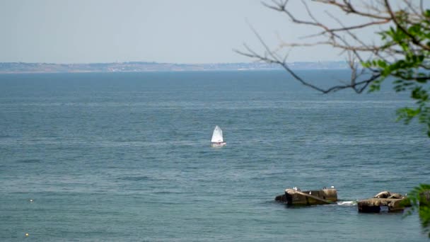 Le yacht flottant dans la mer. Sur la rive lointaine peut être vu la ville . — Video