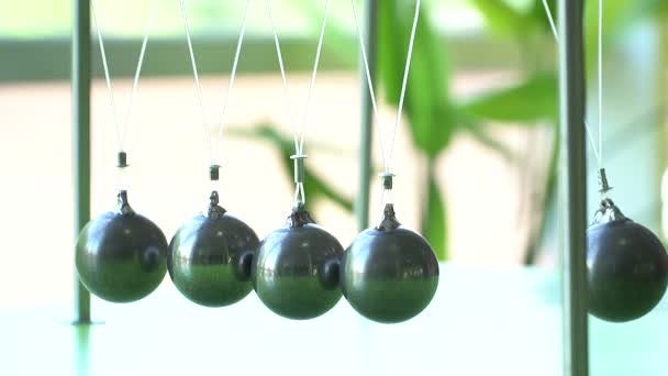 Slow motion. Newton's cradle: a pendulum with swinging metal spheres — Stock Video