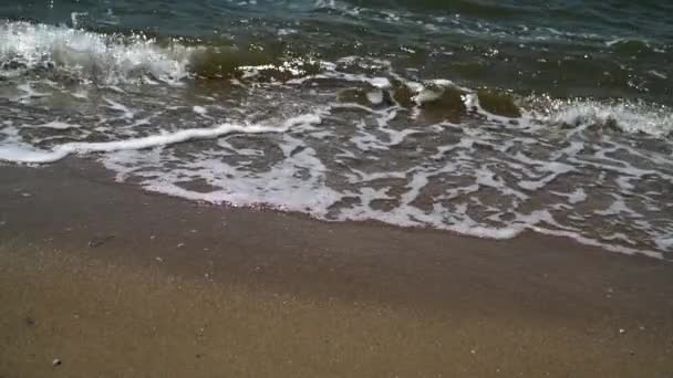 거품 바다 파도가 모래 사장에 — 비디오