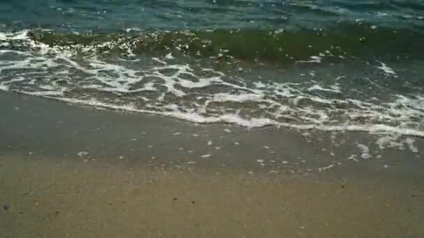모래 해 안에 lapping 하는 해안 바다 파도 — 비디오
