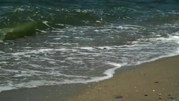 Olas incidente en la playa de arena — Vídeo de stock