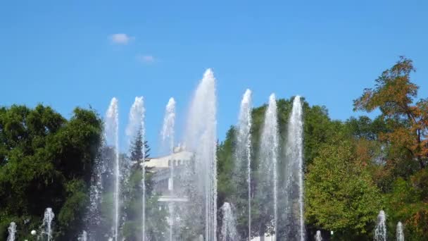 Los chorros de la fuente en el fondo del cielo y los árboles — Vídeos de Stock