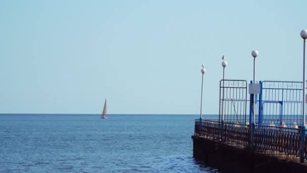 Luminarias están en el rompeolas de las lámparas sentadas gaviotas — Vídeos de Stock