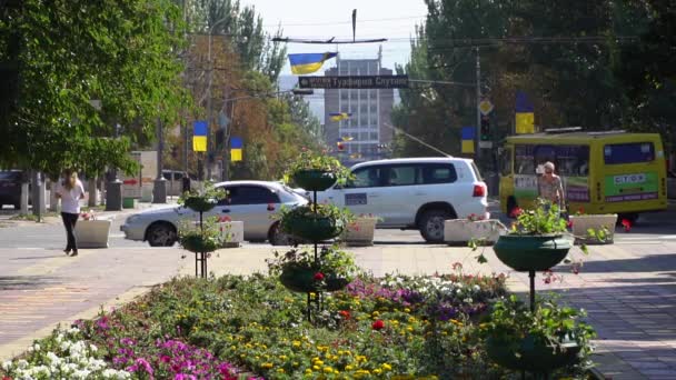 El camino alrededor de la plaza de la ciudad. En el camino va coche. Conduce un coche OSCE — Vídeos de Stock