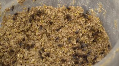 Yem Sineklerin sürüsü