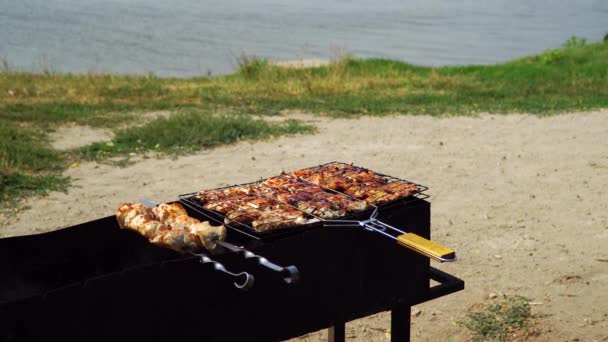 Churrasco nas margens do lago — Vídeo de Stock