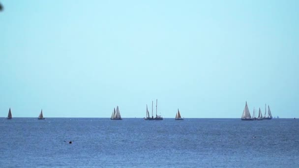 漂浮在海面的帆船游艇 — 图库视频影像