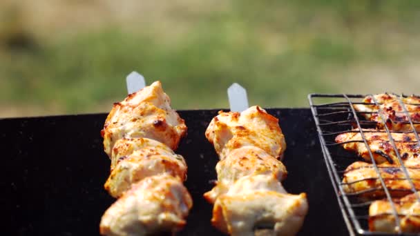 Preparation of a shish kebab on fire — Stock Video
