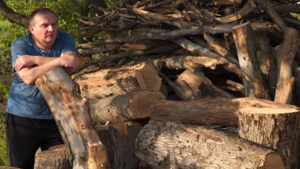 伐木工人在砍树的背景上休息 — 图库视频影像