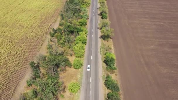 Autostrada Wśród Pól Uprawnych Widok Lotu Ptaka — Wideo stockowe