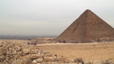 Mısır 'daki piramidin eteğindeki develer. Menkaure Piramidi, Mısır 'ın Kahire kentinin güneybatısındaki Giza Platosu' nda yer alan üç ana piramidin en küçüğüdür.