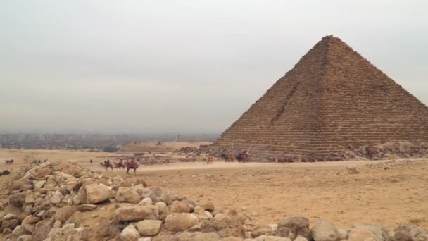 Kamele Fuße Der Pyramide Ägypten Die Pyramide Von Menkaure Ist — Stockvideo