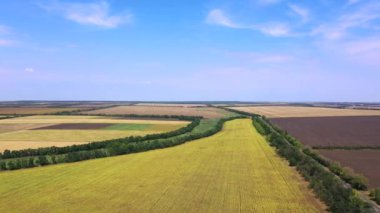 Tarımsal alanların arasındaki otoyol. Sonbaharda sürülen tarlalar ve ayçiçeği tarlaları. Hava görünümü.