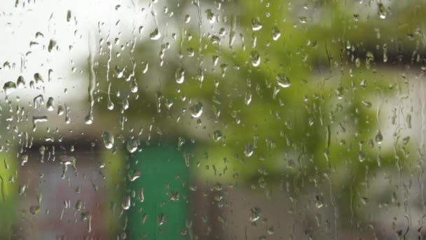 Dešťové Kapky Okenní Tabuli Deštivé Počasí Podzimní Přírodní Pozadí — Stock video