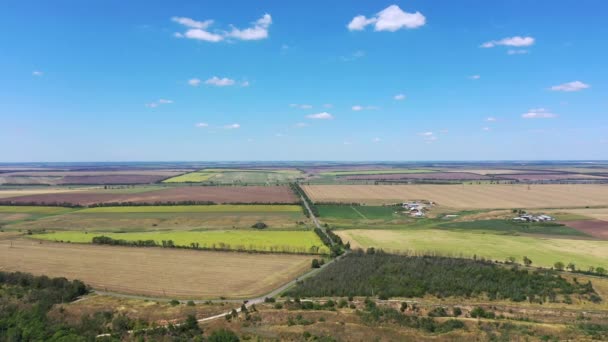 Восени Сільськогосподарські Поля Вид Повітря Можете Побачити Шосе Серед Полів — стокове відео