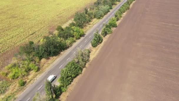 Aerial View Highway Arable Fields Sunflower Fields Agricultural Fields Harvesting — 비디오