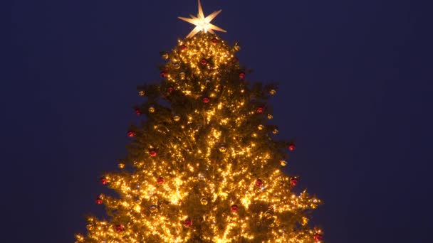 Kerstboom Stad Gedecoreerde Elektrische Bloemenslingers Sprankelend Knipperend Nieuwjaar Kerstmis Feestconcept — Stockvideo