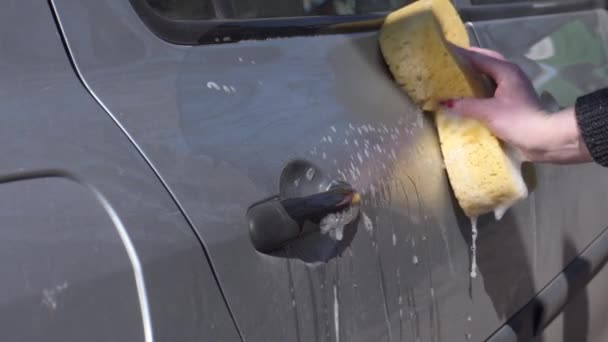 Car Wash Woman Washes Body Car Sponge — Stock Video