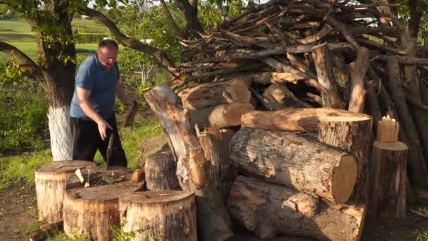 Een Man Hakt Hout Met Een Bijl Brandhout Oogsten — Stockvideo