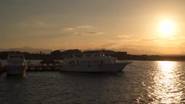 Motor Yachts Pier Backdrop Sun Sunset Red Sea Egypt — Stock Video