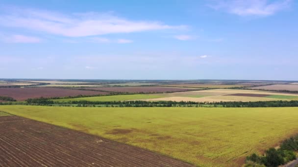 Podzimní zemědělské pole. Letecký pohled. — Stock video
