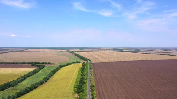 農場の間の高速道路。秋の農業分野。空中風景. — ストック動画