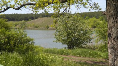 Rezervuarın resimli sahili. Bahar geldi.
