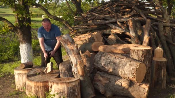 Facet Rąbie Drewno Zamówienia Drewno Opałowe — Wideo stockowe