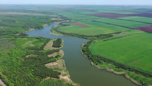 Landwirtschaftliche Felder und Wälder am Ufer des Stausees. — Stockvideo