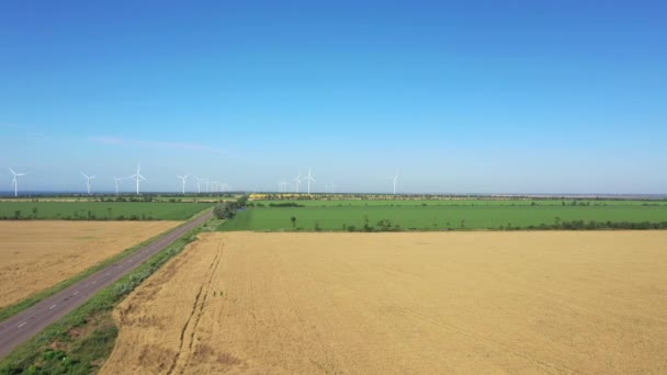 Luchtfoto Van Het Windpark Elektriciteitscentrale Bevindt Zich Tussen Landbouwvelden — Stockvideo