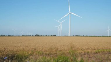 Rüzgar türbinleri buğday tarlasının yakınlarında. Mavi gökyüzüne karşı