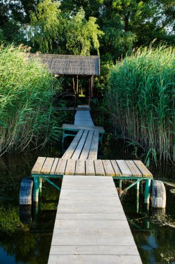 Nehre giden güzel Doğal Sahne Tahta Platformu. Göl kenarındaki yabani sazlıklar.