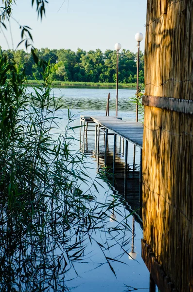 Holzplattform Die Zum Fluss Führt Wildes Schilf Seeufer Schöne Natürliche — Stockfoto