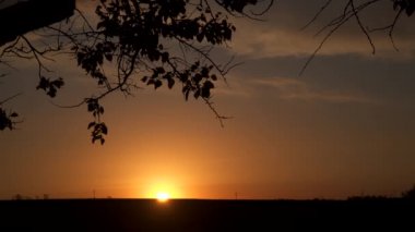 Gün batımında gökyüzüne karşı bir ağaç dalının silueti..