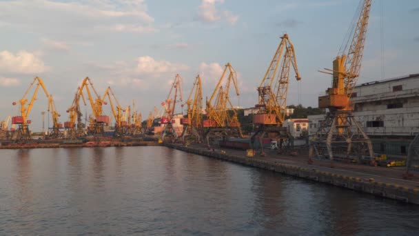 Odessa Ukraina Juli 2021 Portalkranar Hamnen Vid Solnedgången — Stockvideo