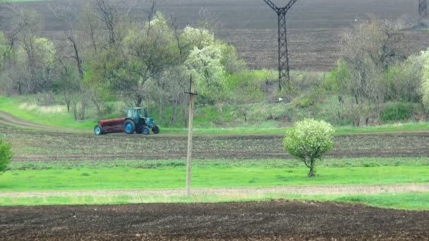 Granja tractor plantación de maíz en un campo — Vídeo de stock