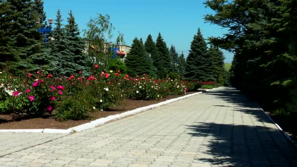 Avenue centrale du sanatorium pour enfants — Video