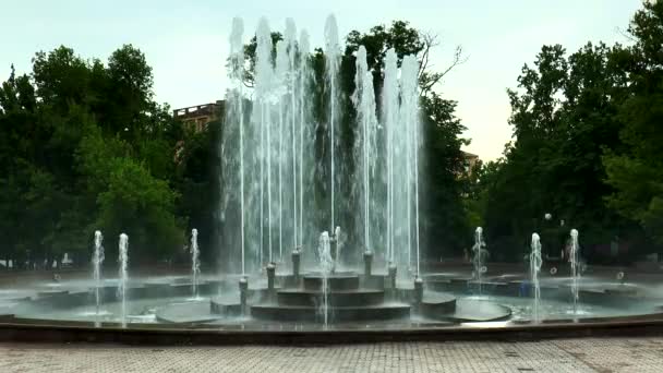 城市公共公园的夏日 — 图库视频影像
