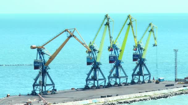 Grues portuaires sur le quai — Video